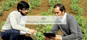 Profesionalidad, Independencia y Fiabilidad.