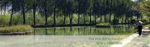 Por una alimentación sana y saludable