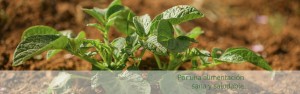 Por una alimentación sana y saludable
