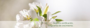 Nuestra certificación, tu garantia de crecimiento.