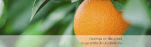 Nuestra certificación, tu garantia de crecimiento.