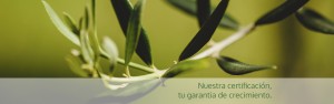 Nuestra certificación, tu garantia de crecimiento.