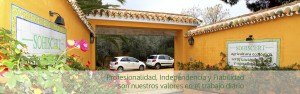 Profesionalidad, Independencia y Fiabilidad son nuestros valores en el trabajo diario