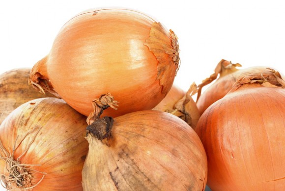 cebolla
