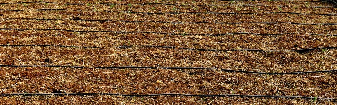 Primera reunión del comité de normalización de insumos para agricultura ecológica
