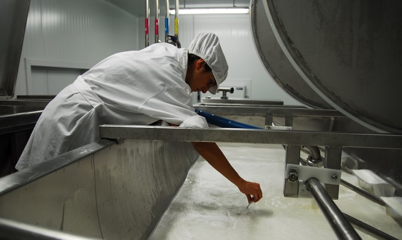 Nuevas Ayudas para Industrias Agroalimentarias en Castilla La Mancha (FOCAL 2014-2020)