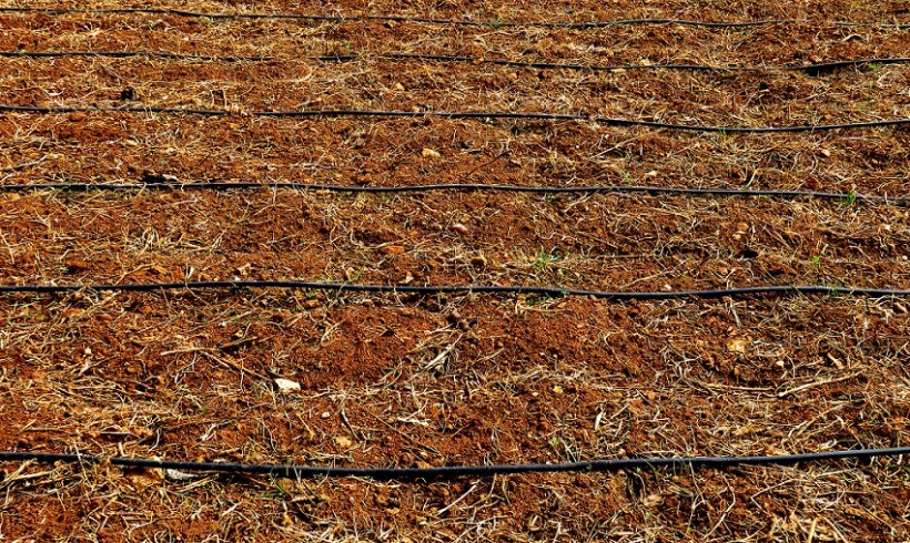 Entrada en vigor de la orden que modifica el RD 506/2013 sobre fertilizantes Entrada en vigor de la orden que modifica el RD 506/2013 sobre fertilizantes