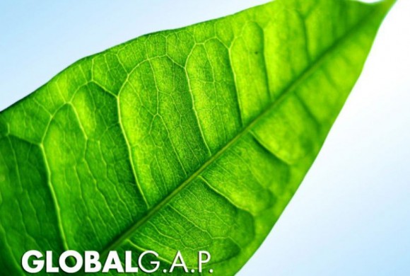 reunion globalgap