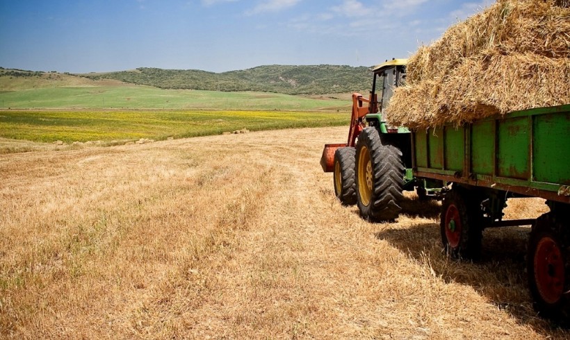 Convocatoria de Ayudas para la Agricultura Ecológica en Castilla la Mancha 2016 Convocatoria de Ayudas para la Agricultura Ecológica en Castilla la Mancha 2016