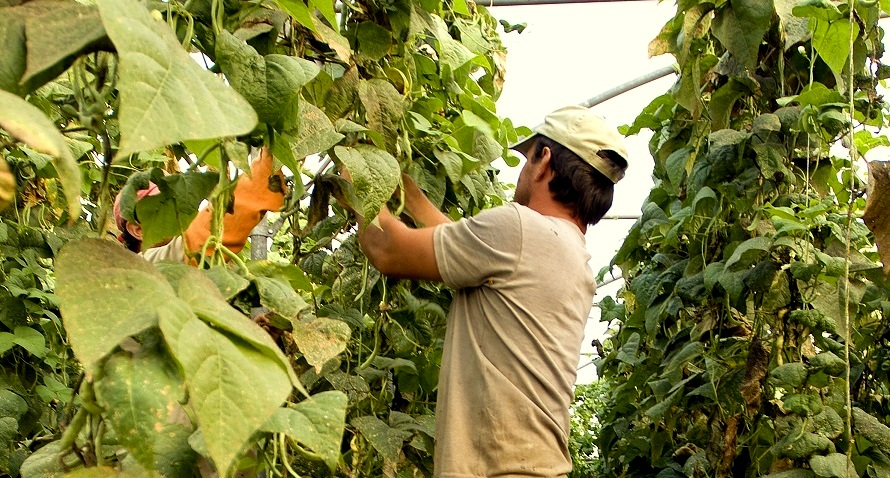 SOHISCERT Entidad de Verificación de Compromisos Agroambientales SOHISCERT Entidad de Verificación de Compromisos Agroambientales