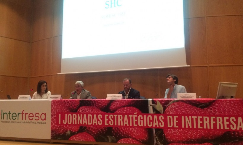 I JORNADA ESTRATÉGICA DE FRESA I JORNADA ESTRATÉGICA DE FRESA
