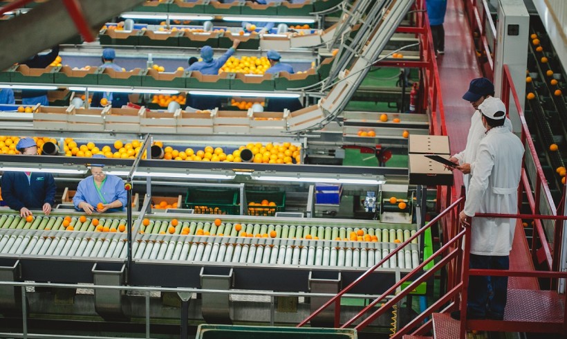 Entra en Vigor el Protocolo de Auditorías IFS FOOD Sin Anunciar Entra en Vigor el Protocolo de Auditorías IFS FOOD Sin Anunciar