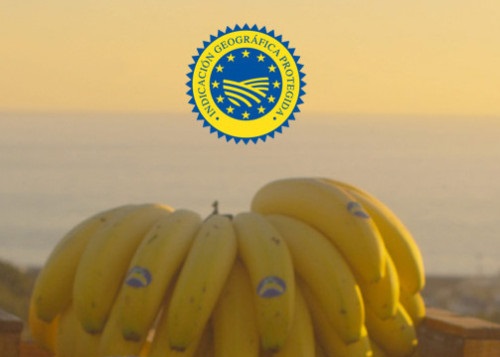 Nueva Autorización para la Certificación IGP Plátano de Canarias Nueva Autorización para la Certificación IGP Plátano de Canarias