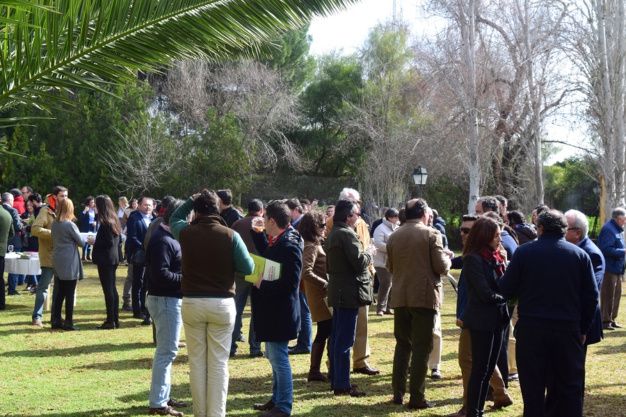 DSC_0985