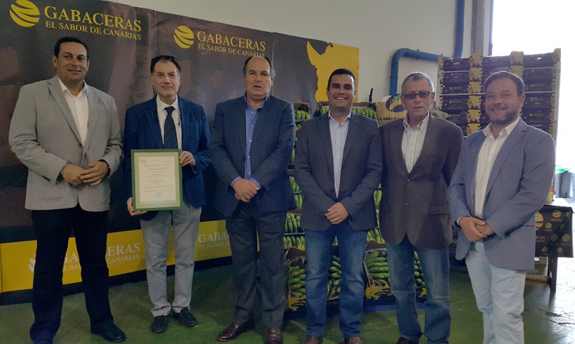 SAT Europlátano, primera OPP que obtiene la Certificación de la IGP Plátano de Canarias SAT Europlátano, primera OPP que obtiene la Certificación de la IGP Plátano de Canarias