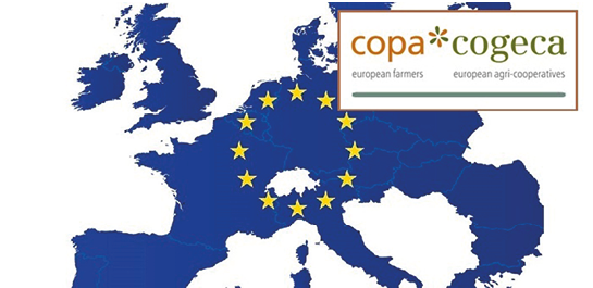 El COPA-COGECA en Contra del Plazo de 15 Años para Poner Fin a la Derogación El COPA-COGECA en Contra del Plazo de 15 Años para Poner Fin a la Derogación