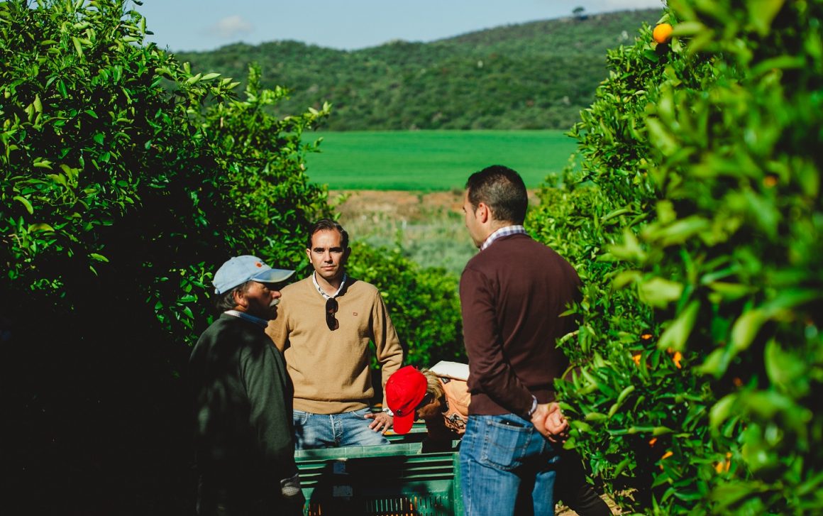 Aumento de la Producción Ecológica en España Aumento de la Producción Ecológica en España