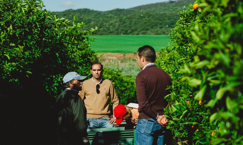 Aumento de la Producción Ecológica en España Aumento de la Producción Ecológica en España