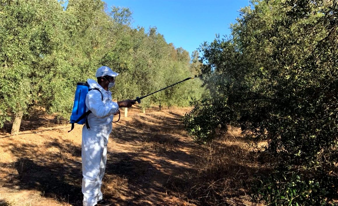 Tres Nuevas Normas Une para los Insumos Utilizables en Agricultura Ecológica