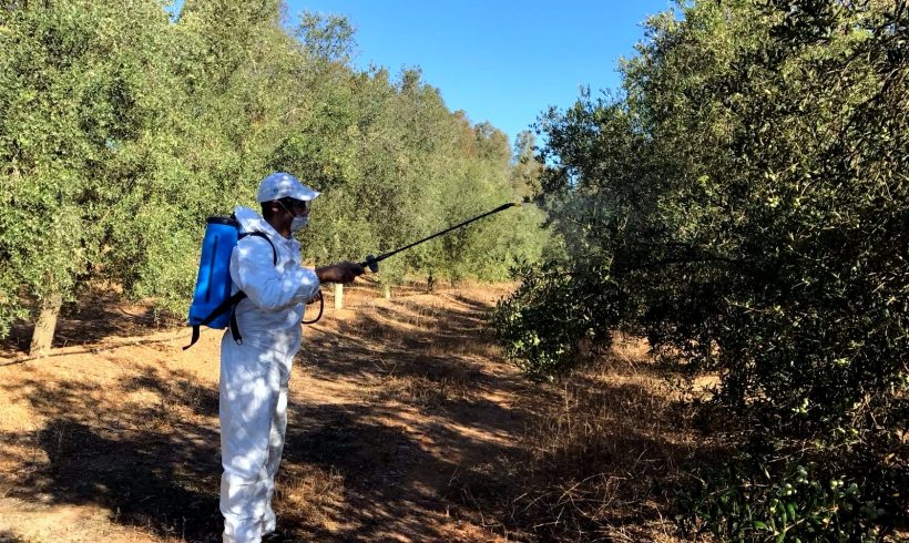 Tres Nuevas Normas Une para los Insumos Utilizables en Agricultura Ecológica Tres Nuevas Normas Une para los Insumos Utilizables en Agricultura Ecológica