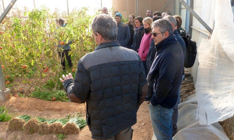 Agricultura Ecológica para la adaptar los cultivos al cambio climático Agricultura Ecológica para la adaptar los cultivos al cambio climático