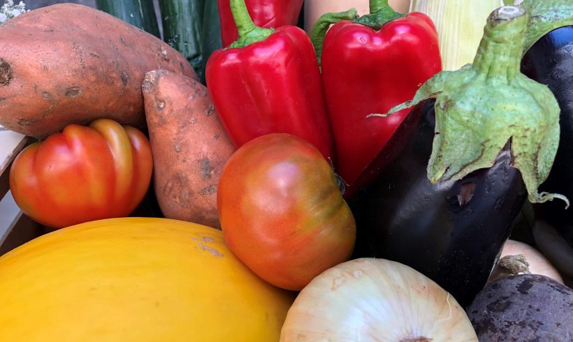 Convocadas las Ayudas para el fomento de la Producción Ecológica en Castilla y León Convocadas las Ayudas para el fomento de la Producción Ecológica en Castilla y León
