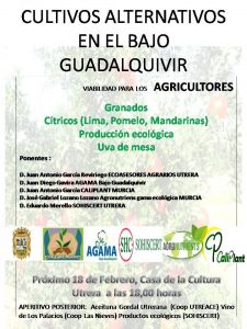 Jornada, Cultivos alternativos en el bajo Guadalquivir