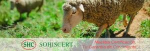 Ganadería, ecológica
