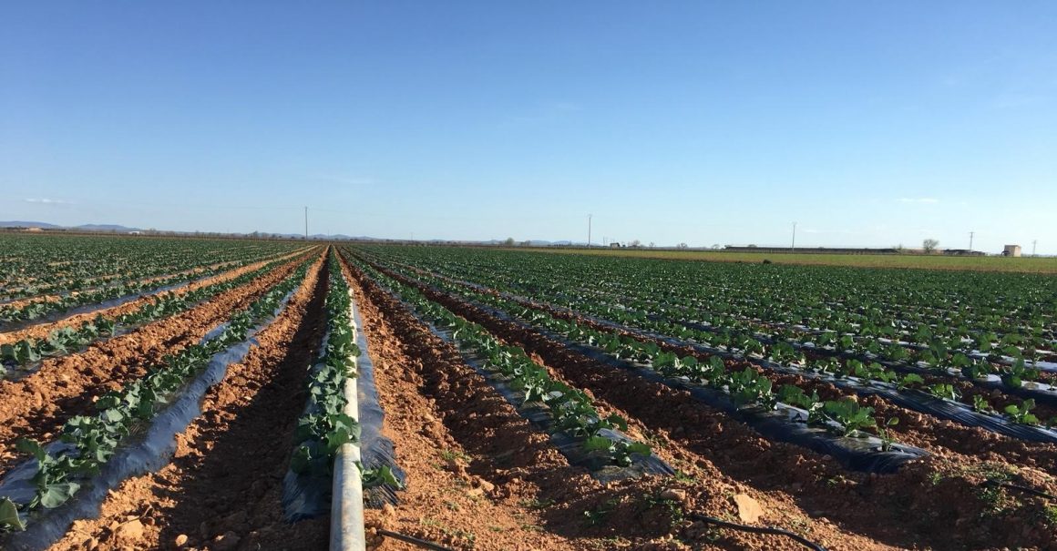 Nuevo Reglamento de Fertilizantes UE Nuevo Reglamento de Fertilizantes UE