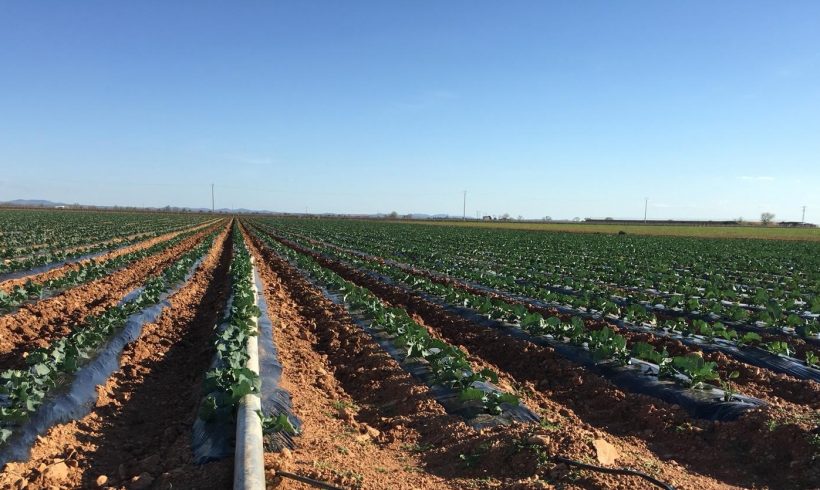 Nuevo Reglamento de Fertilizantes UE