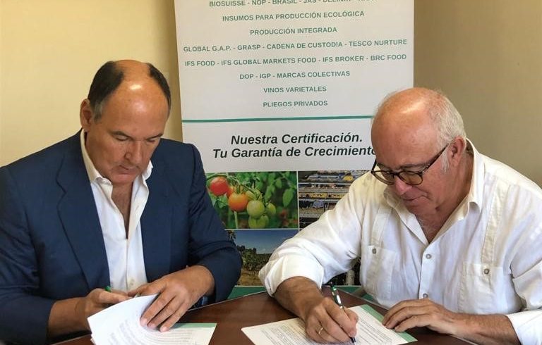 Sohiscert firma un convenio de colaboración con el Consejo Regulador de las Indicaciones Geográficas Protegidas “ Aceituna Manzanilla de Sevilla” / “Aceituna Gordal de Sevilla” Sohiscert firma un convenio de colaboración con el Consejo Regulador de las Indicaciones Geográficas Protegidas “ Aceituna Manzanilla de Sevilla” / “Aceituna Gordal de Sevilla”