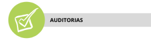 Auditorias