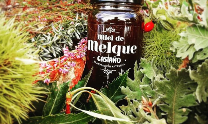 Miel de Melque se alza como la 2ª mejor miel de España y Portugal Miel de Melque se alza como la 2ª mejor miel de España y Portugal
