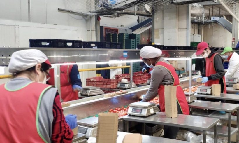 COVID-19 e Industria Alimentaria: EVITAR EL CONTAGIO COVID-19 e Industria Alimentaria: EVITAR EL CONTAGIO