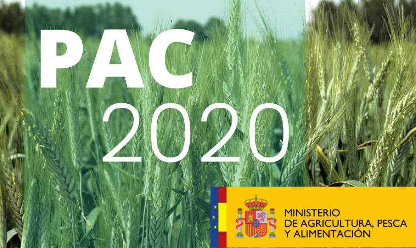 El MAPA prorroga hasta el 15 de junio el plazo de presentación de la solicitud única de ayudas de la PAC 2020 El MAPA prorroga hasta el 15 de junio el plazo de presentación de la solicitud única de ayudas de la PAC 2020