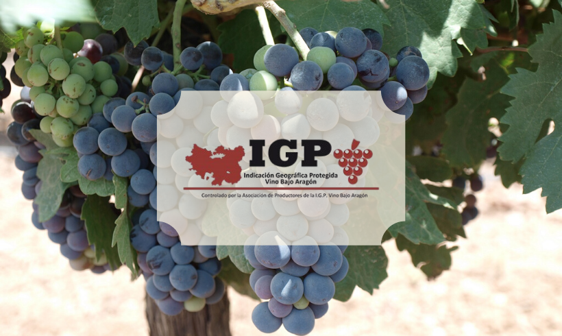 SOHISCERT obtiene la autorización para certificar los Vinos de la Tierra del Bajo Aragón