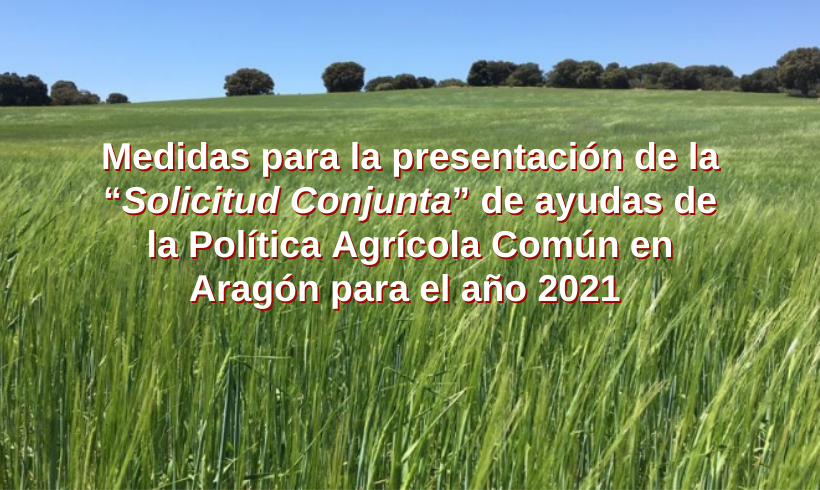 Medidas para la presentación de la “Solicitud Conjunta” de ayudas de la Política Agrícola Común en Aragón para el año 2021 Medidas para la presentación de la “Solicitud Conjunta” de ayudas de la Política Agrícola Común en Aragón para el año 2021