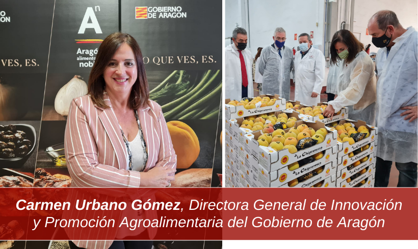 Entrevistamos a Carmen Urbano Gómez, Directora General de Innovación y Promoción Agroalimentaria del Gobierno de Aragón Entrevistamos a Carmen Urbano Gómez, Directora General de Innovación y Promoción Agroalimentaria del Gobierno de Aragón