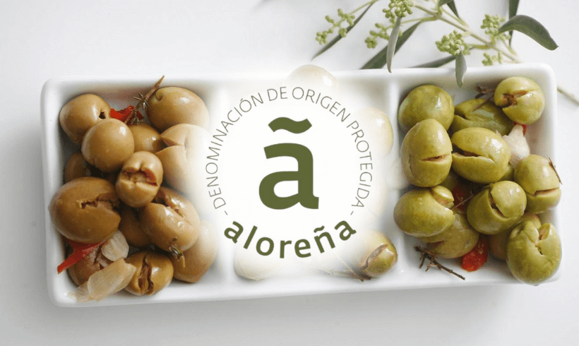 SOHISCERT certifica la primera campaña de la DOP Aceituna Aloreña SOHISCERT certifica la primera campaña de la DOP Aceituna Aloreña