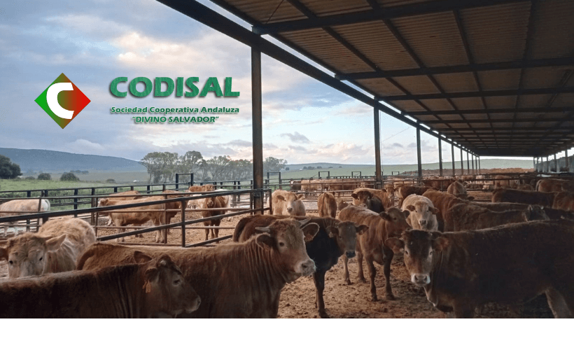 Manejo Integrado de la Cooperativa Divino Salvador Manejo Integrado de la Cooperativa Divino Salvador