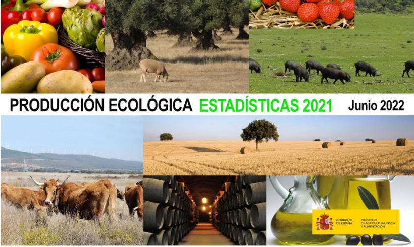 ESPAÑA se sitúa como uno de los principales productores por superficie de la Unión Europea ESPAÑA se sitúa como uno de los principales productores por superficie de la Unión Europea