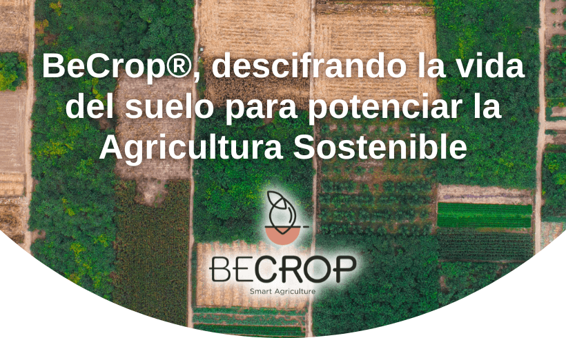 BeCrop, descifrando la vida del suelo para potenciar la Agricultura Sostenible BeCrop, descifrando la vida del suelo para potenciar la Agricultura Sostenible