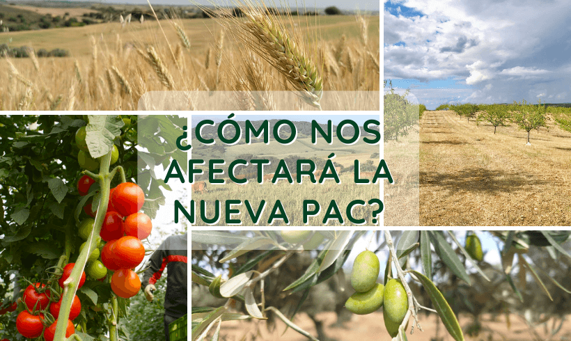 ¿Cómo nos afectará la nueva reforma PAC? ¿Cómo nos afectará la nueva reforma PAC?