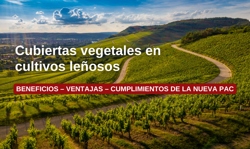 Cubiertas Vegetales en Cultivos Leñosos Cubiertas Vegetales en Cultivos Leñosos
