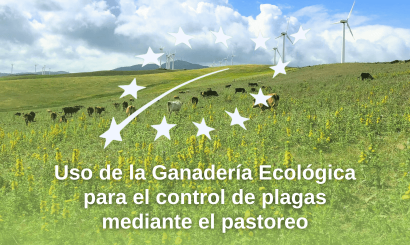 Uso de la Ganadería Ecológica para el control de plagas mediante el pastoreo