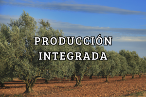 Recuadro Producción Integrada