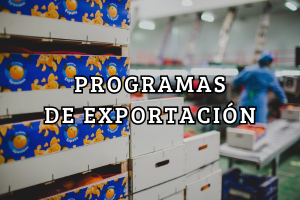 Recuadro Programas de Exportación