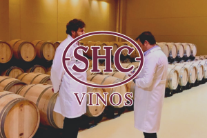 Recuadro Vinos
